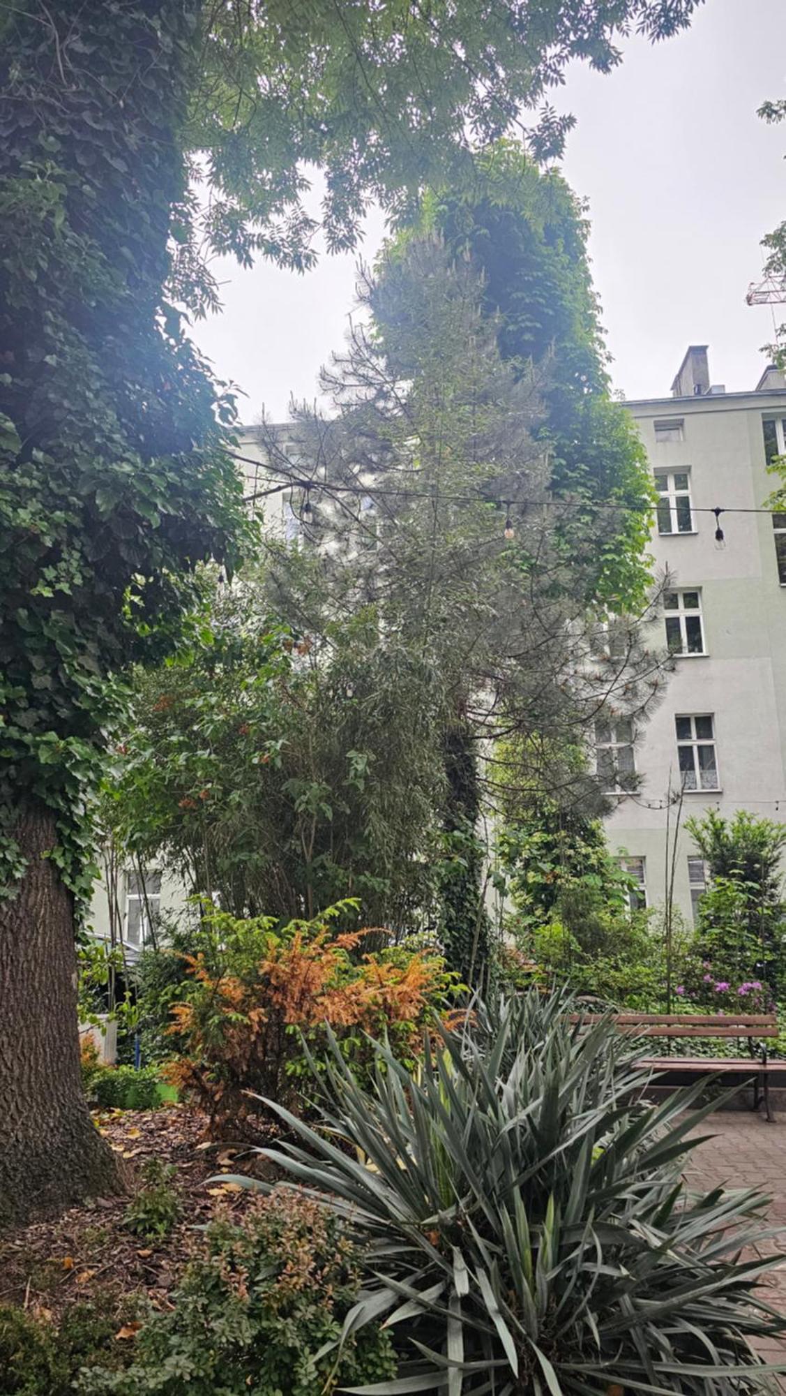 Apartament Pod Muralem